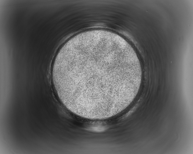 X0000087581129200705251835