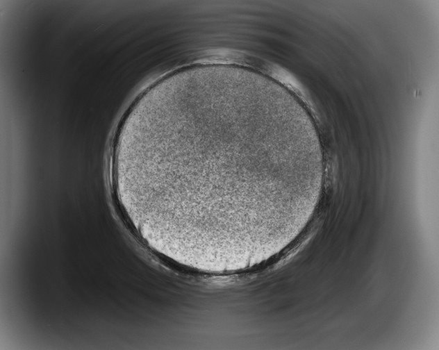 X0000087581130200705251835
