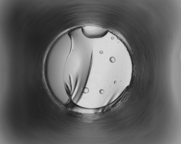 X0000087581132200705251836