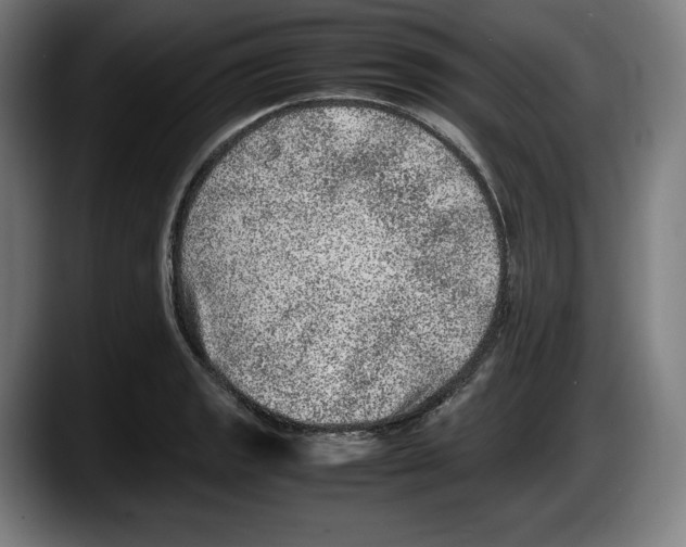 X0000087581133200705251836