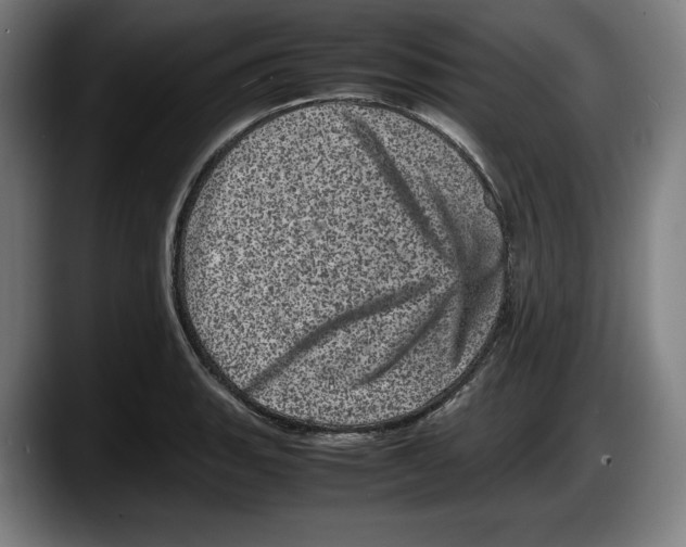 X0000087581135200705251836