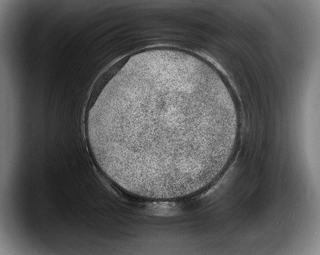 X0000087581137200705251836