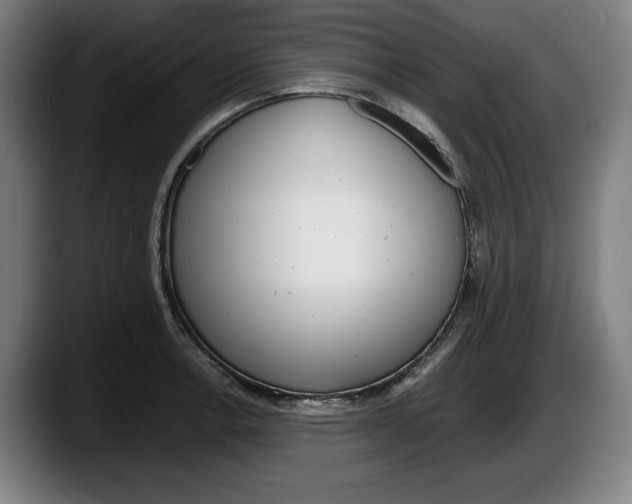 X0000087581138200705251836
