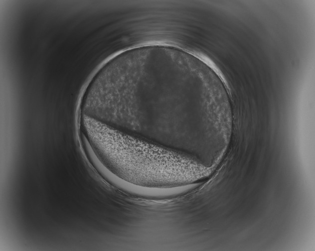 X0000087581140200705251836