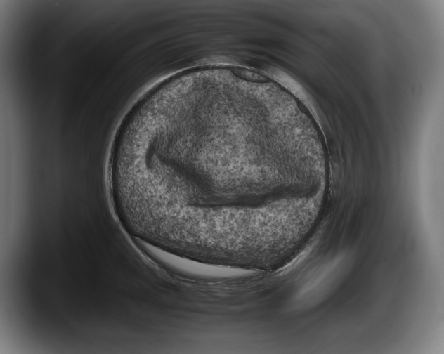 X0000087581141200705251836