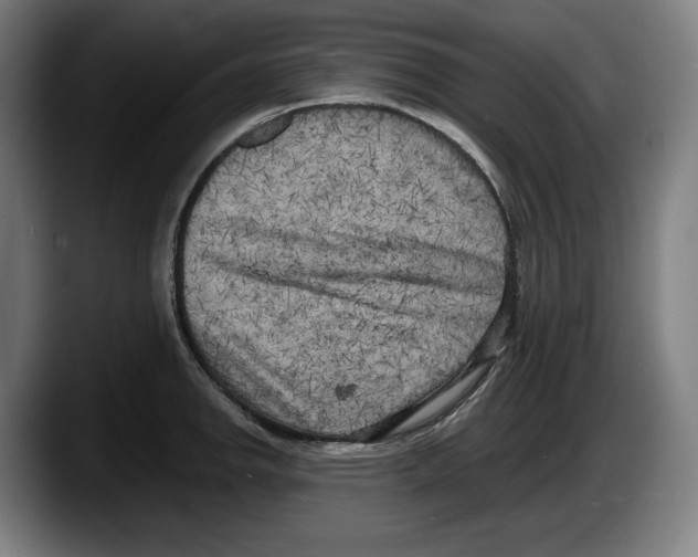X0000087581142200705251836