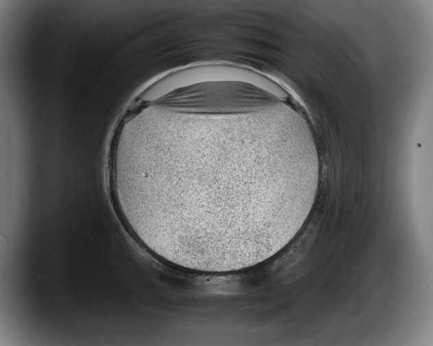 X0000087581143200705251836