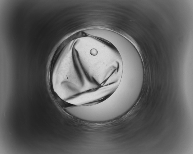X0000087581144200705251836