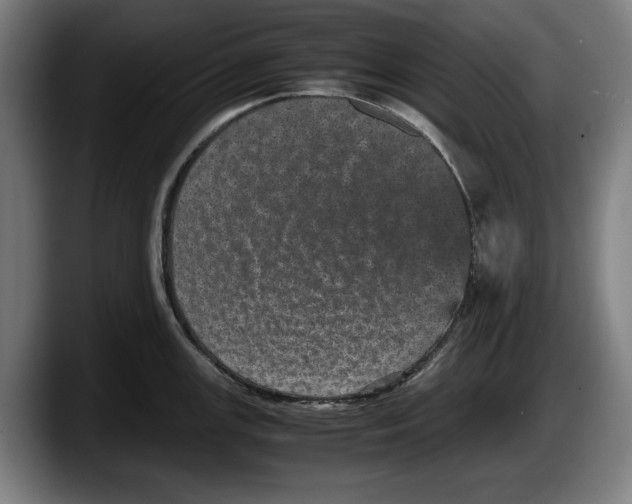 X0000087581147200705251836