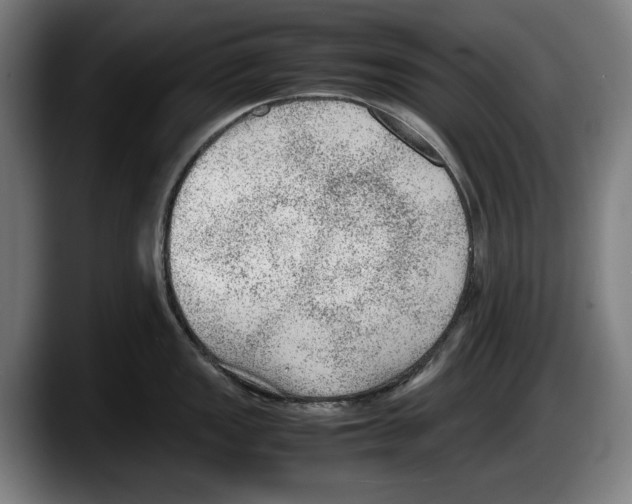 X0000087581149200705251836