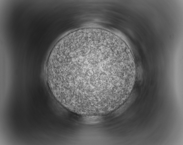 X0000087581150200705251836