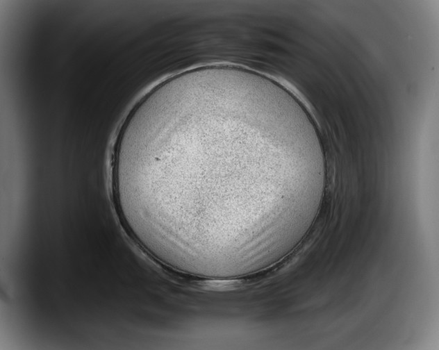 X0000087581151200705251836