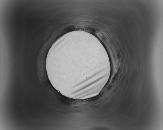 X0000087581153200705251835