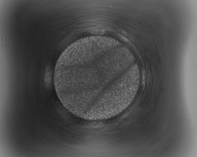 X0000087581154200705251835