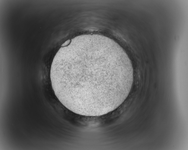 X0000087581158200705251835