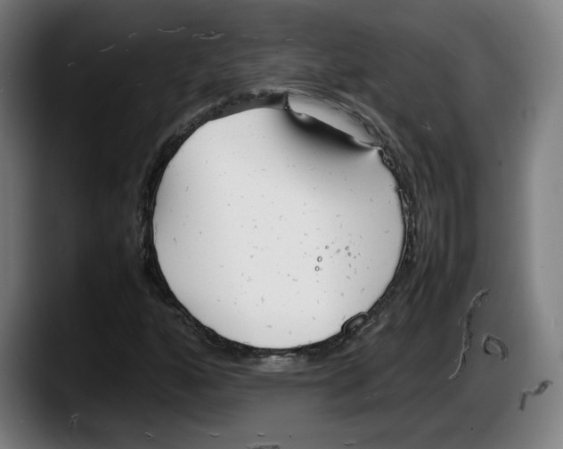 X0000087581160200705251835
