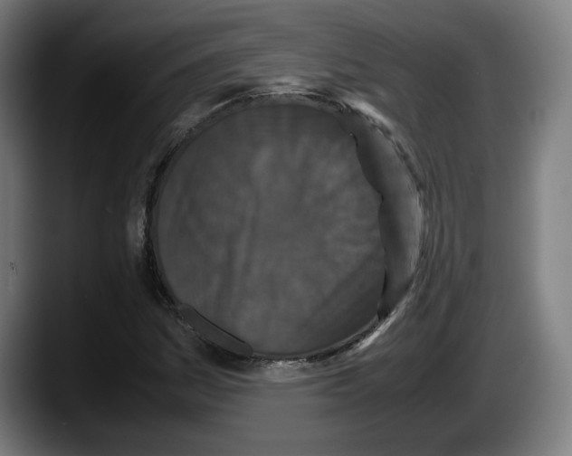 X0000087581161200705251835