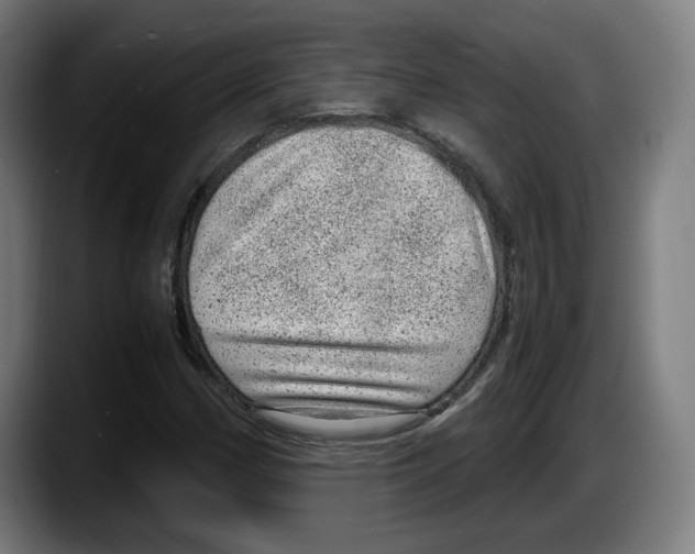 X0000087581162200705251835