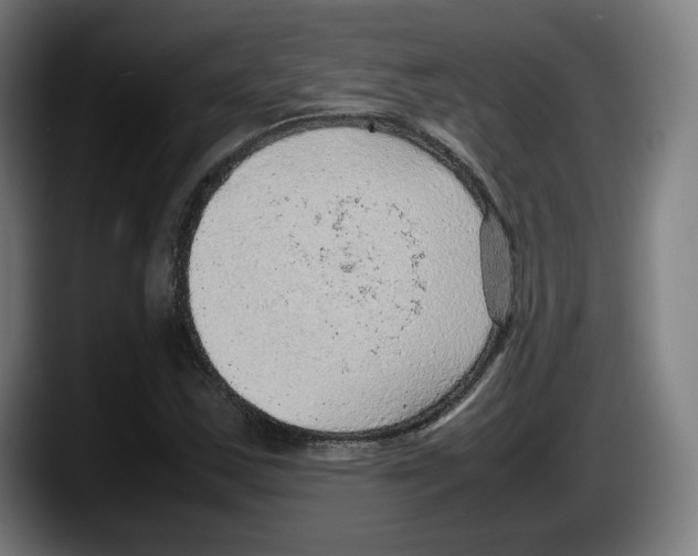 X0000087581163200705251835