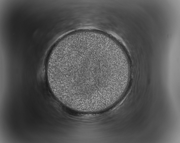 X0000087581167200705251835