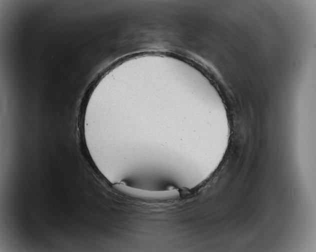 X0000087581168200705251835