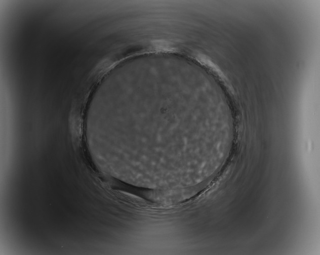 X0000087581169200705251835