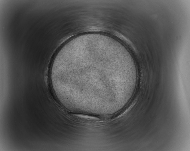 X0000087581170200705251835
