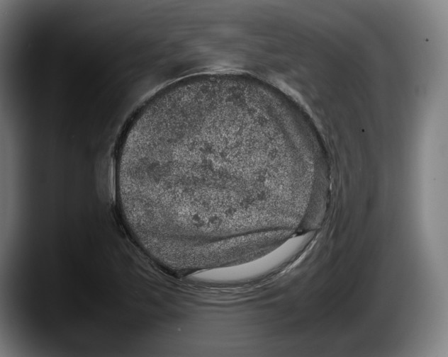 X0000087581171200705251835