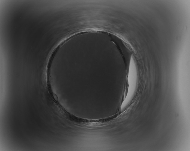 X0000087581173200705251835