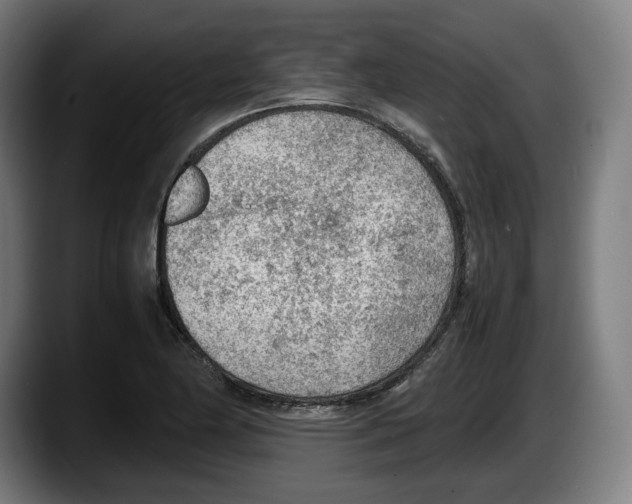 X0000087581174200705251835