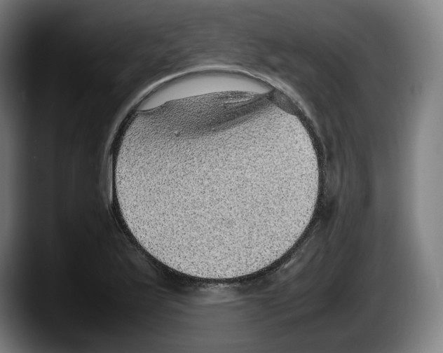 X0000087581175200705251835