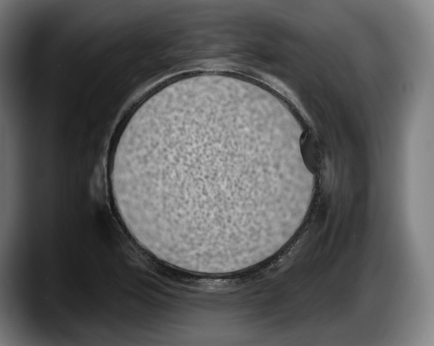 X0000087581176200705251835