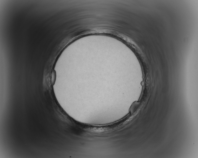 X0000087581177200705251835