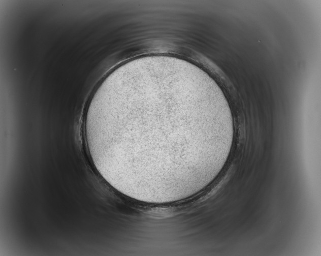 X0000087581178200705251835