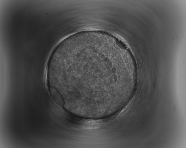 X0000087581179200705251835