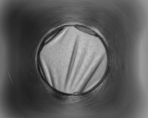 X0000087581181200705251835