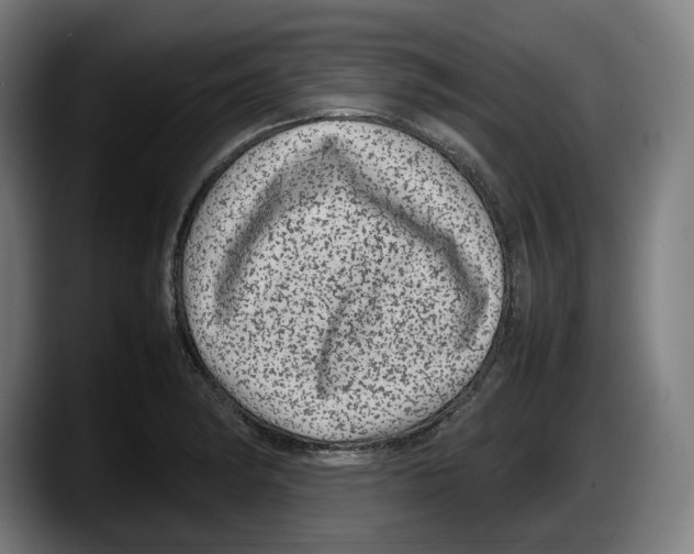 X0000087581182200705251835