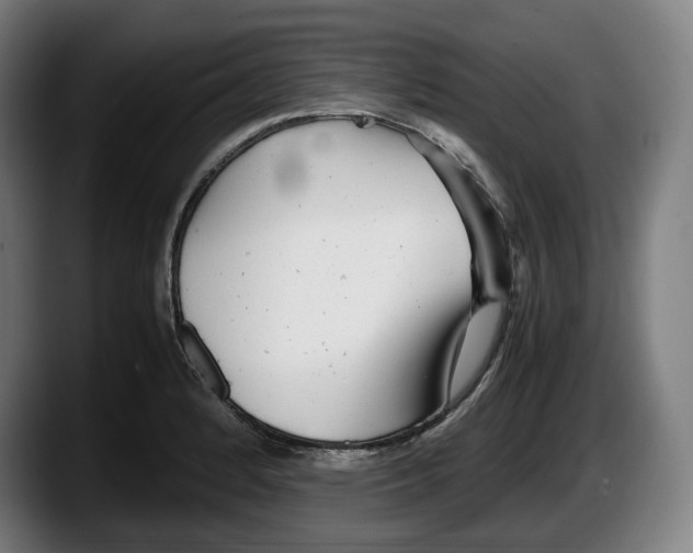 X0000087581184200705251835
