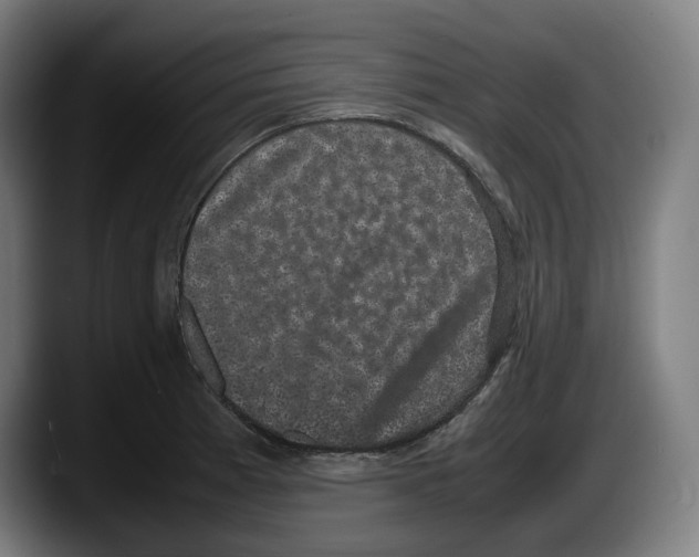X0000087581185200705251835