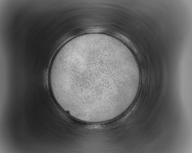 X0000087581186200705251835
