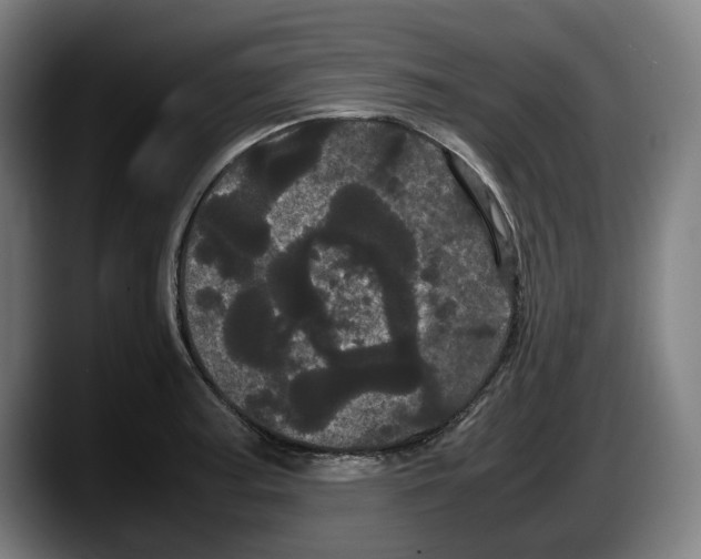 X0000087581187200705251835