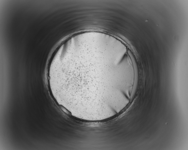 X0000087581188200705251835