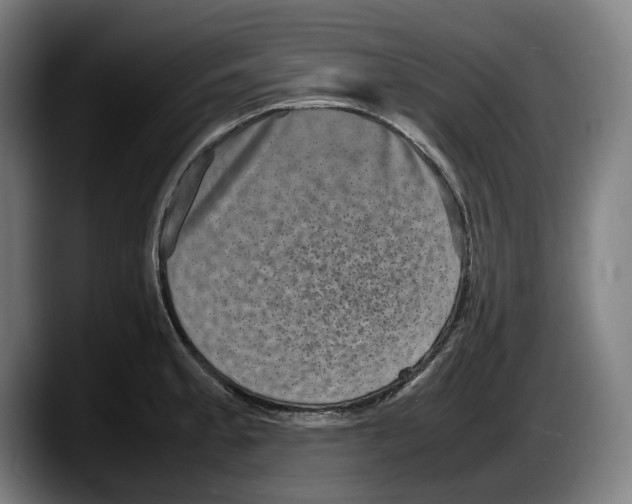 X0000087581189200705251835