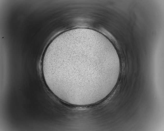 X0000087581190200705251835