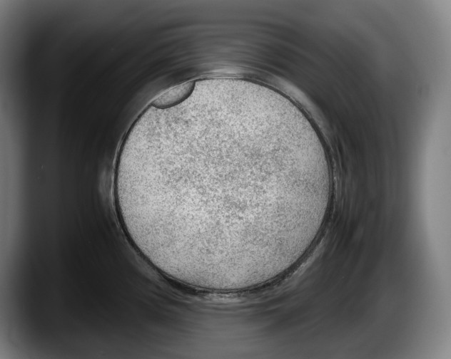 X0000087581194200705251835
