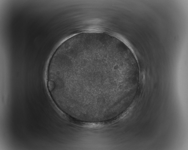 X0000087581195200705251835