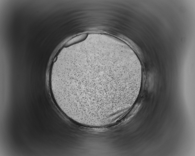 X0000087581196200705251835