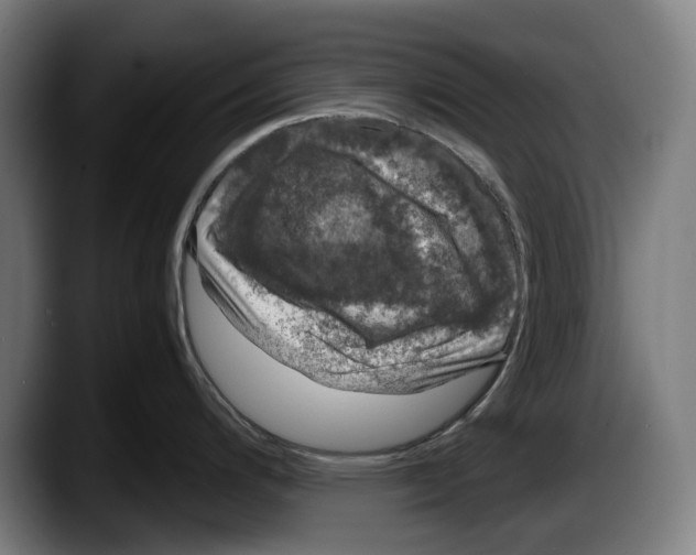 X0000087581200200705251835