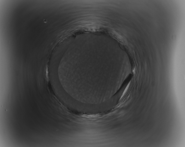 X0000087581202200705251834