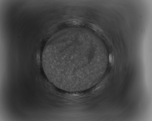 X0000087581203200705251834